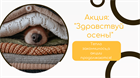 Акция: "Здравствуй осень!"
