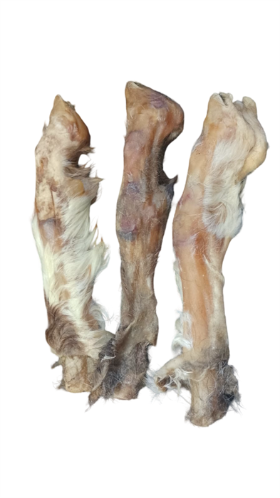 Копыта барана 1729